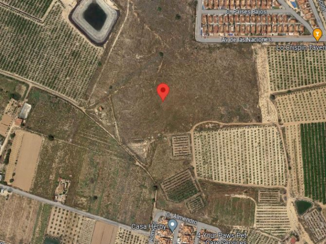 Land rústico in Los Montesinos