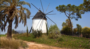 Venta de casas en Torre Pacheco, Murcia