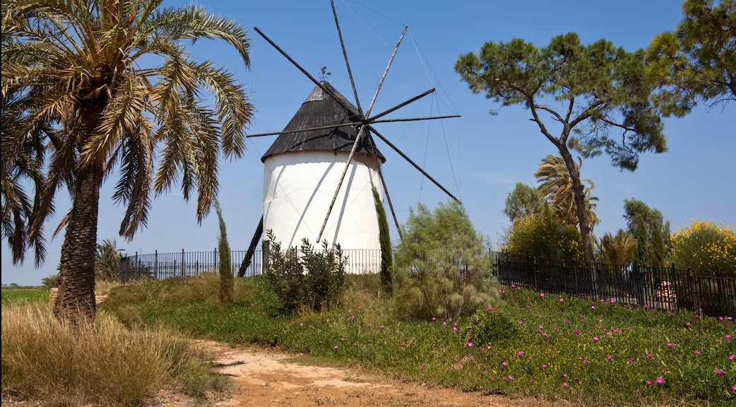 Torre-Pacheco-imagen