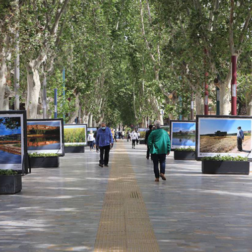 Vivir en Murcia El paseo de Alfonso X El Sabio o tontodromo de Murcia principal zona de recreo y restaurantes del corazon de Murcia